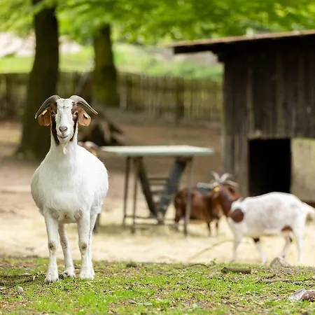 Heide Ferien - Hof Bockelmann *