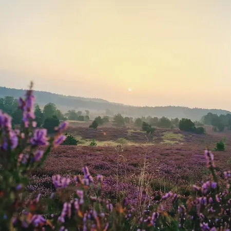 아파트 Heide Ferien - Hof Bockelmann *