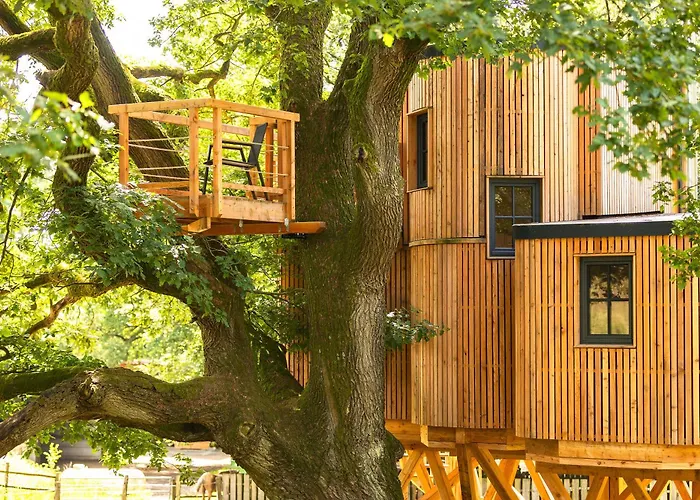 Heide Ferien - Hof Bockelmann 아파트 *