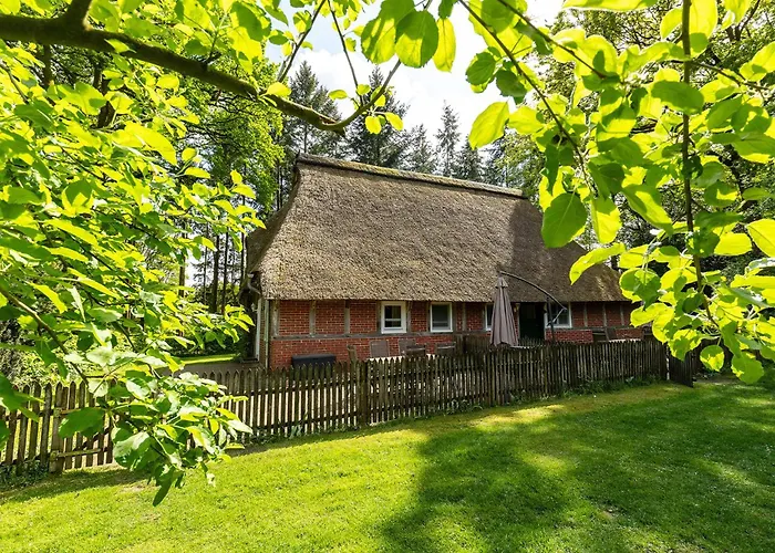 아파트 Heide Ferien - Hof Bockelmann *