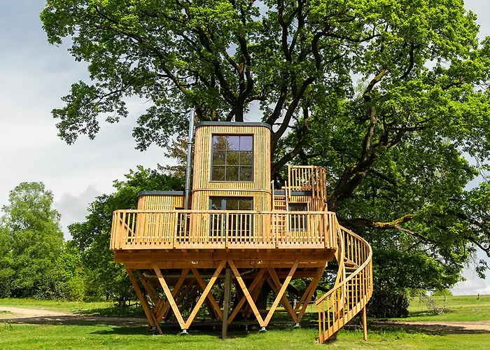 아파트 Heide Ferien - Hof Bockelmann 비스핑엔