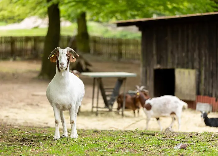 Heide Ferien - Hof Bockelmann *