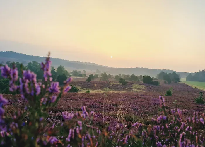 아파트 Heide Ferien - Hof Bockelmann *